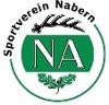 SV Nabern