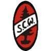 SC Wellendingen