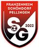 FSG Schöndorf