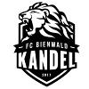 FC Bienwald Kandel II