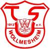 TuS Wollmesheim II