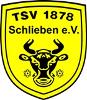 TSV 1878 Schlieben II