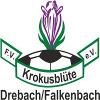 FV Krokusblüte Drebach/Falkenbach 2