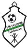 VfB SAXONIA Halsbrücke