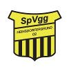 SpVgg. Heinsdorfergrund