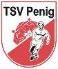 TSV Penig