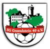 SG Gnandstein 49 I