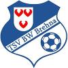 TSV Blau-Weiß Brehna