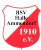 BSV Halle-Ammendorf II   (4)