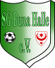 SG Buna Halle-Neustadt   (11)