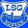 LSG 1923 Goseck