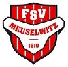 FSV Meuselwitz II