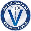 SG VfB 1919 Vacha III