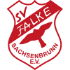 SG SV Falke Sachsenbrunn