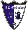 FC Gebesee 1921 I