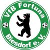 VfB Fortuna Biesdorf II