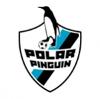 Polar Pinguin