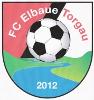 FC Elbaue Torgau